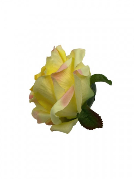 Róża główka 9 cm żółto różowa