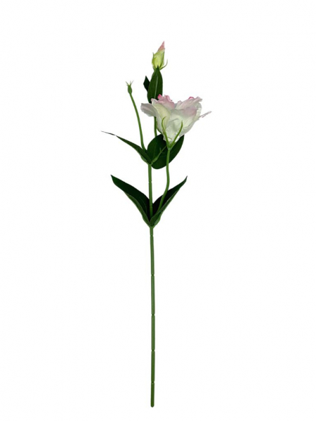 Eustoma gałązka 48 cm biała z różem