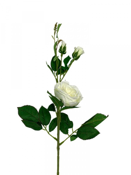 Róża gałązka 70 cm kremowa