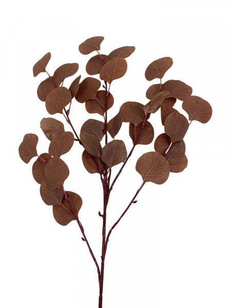 Eukaliptus gałązka 56 cm brązowy