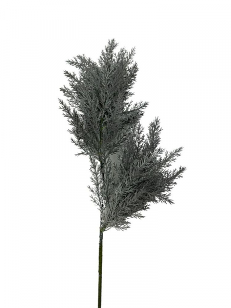 Trawa pampasowa gałązka 70 cm szara