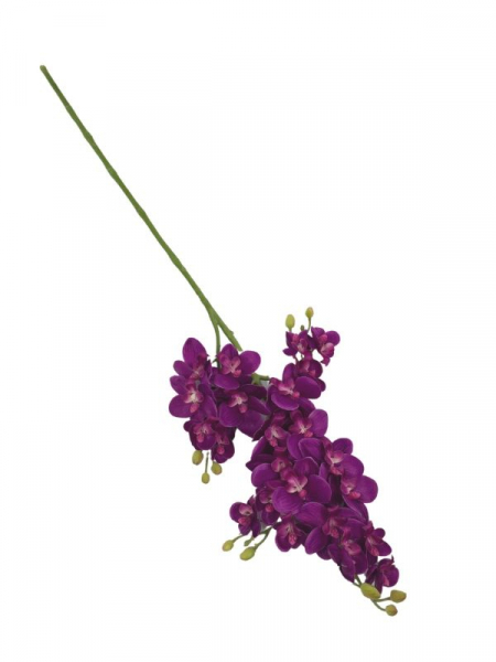Storczyk gałązka 73 cm purpurowy