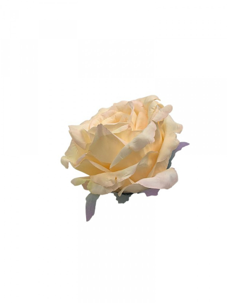 Róża główka 10 cm kremowa z bardzo delikatnym jasnym różem
