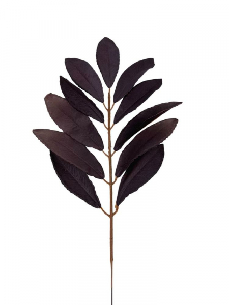 Liść laurowy gałązka 46 cm ciemny brudny fiolet