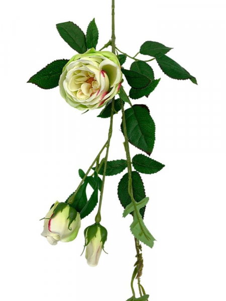 Róża gałązka 70 cm jasno zielona