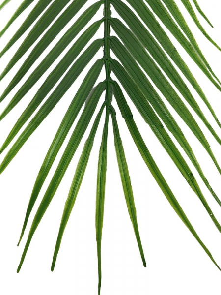 Liść palmy XL 95 cm zielony
