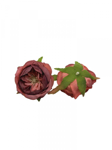 Piwonia mini główka 6 cm brudny ciemny róż