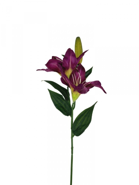Lilia kwiat na gałązce 65 cm purpurowa