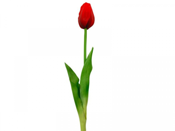 Tulipan silikonowy 46 cm czerwony
