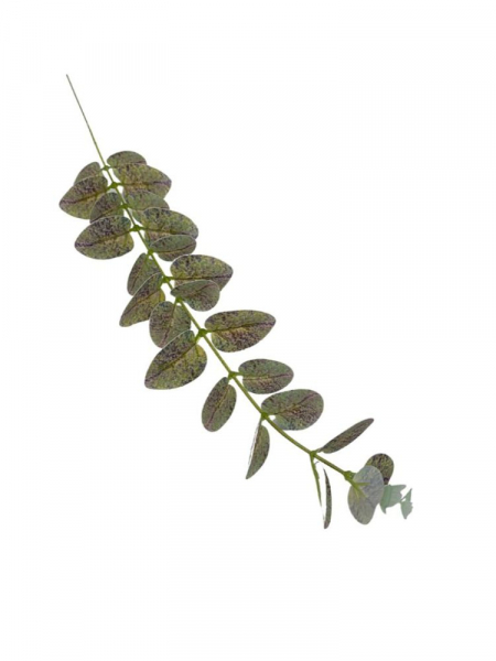 Eukaliptus gałązka 54 cm zielono fioletowa