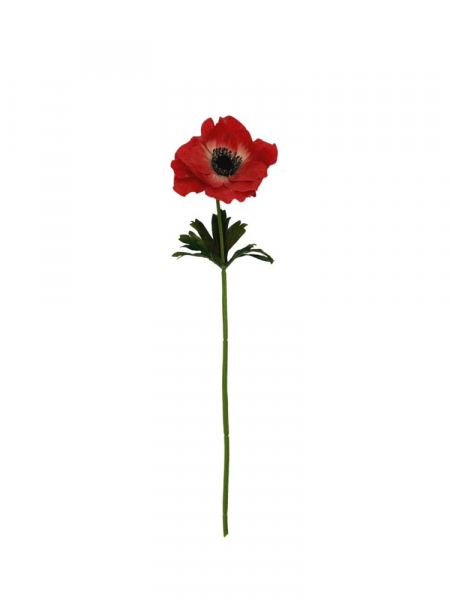 Anemon kwiat pojedynczy 36 cm czerwony