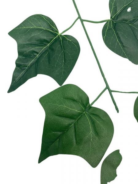 Liść hedera 54 cm zielony