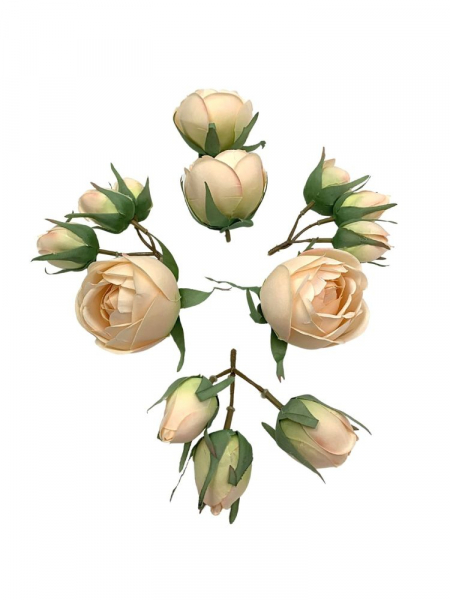 Róża główka komplet kremowy z jasnym różem