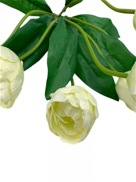 Tulipany bukiet 41 cm kremowe