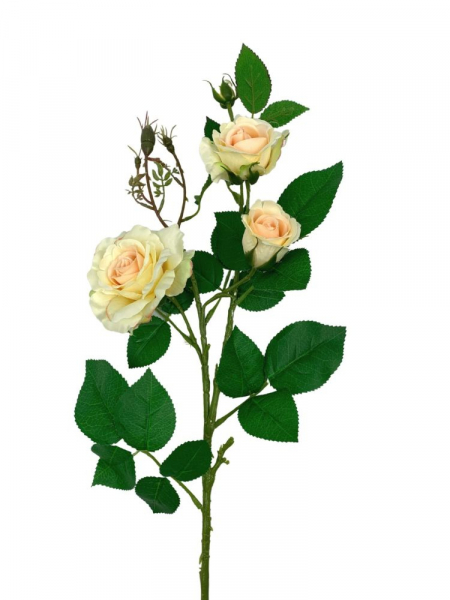 Róża gałązka 77 cm jasna brzoskwinia