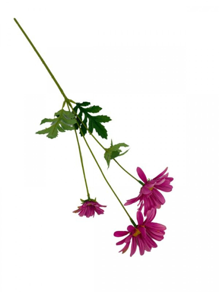 Margaretka kwiat pojedynczy 58 cm różowa