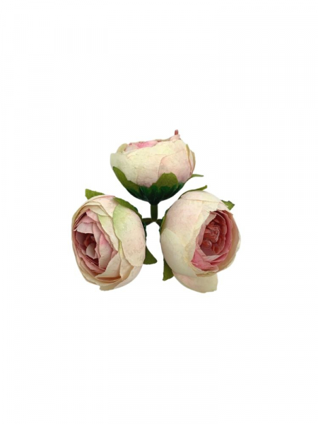 Pełnik główka 3,5 cm jasny róż z kremem