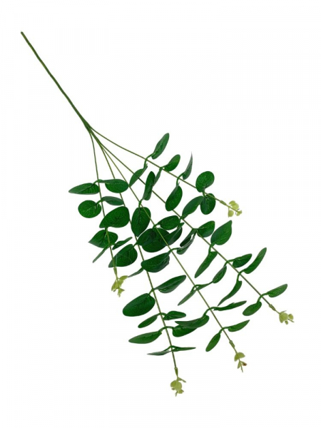 Eukaliptus 65 cm zielony