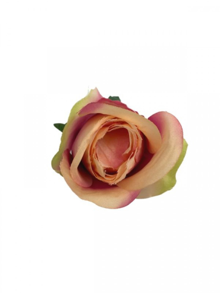 Róża główka 7 cm kremowo różowa