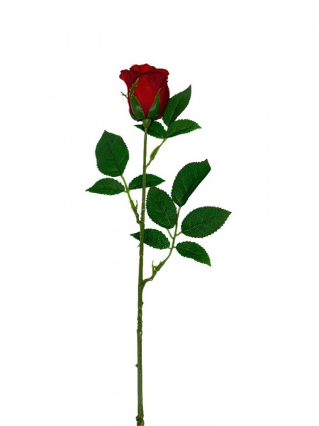 Róża gałązka 59 cm czerwona