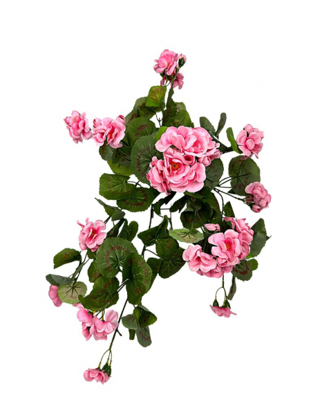 Pelargonia bukiet 52 cm jasny róż