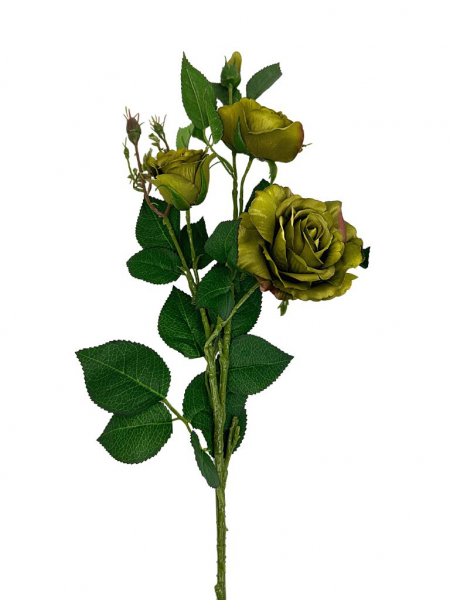 Róża gałązka 77 cm oliwkowa