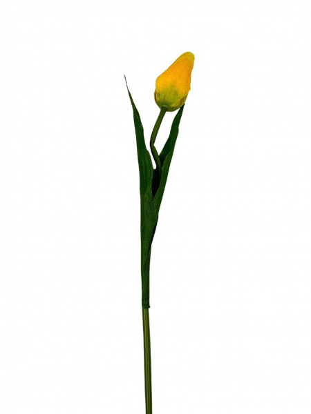 Tulipan gałązka 50 cm żółty