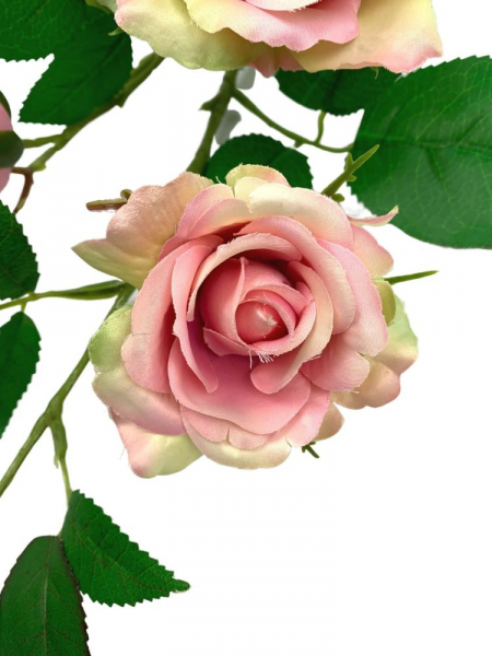 Róża gałązka 77 cm różowo zielona