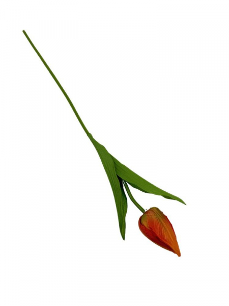 Tulipan 50 cm pomarańczowy