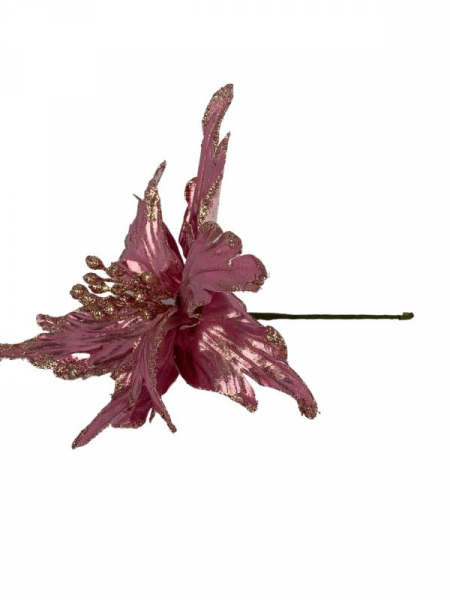 Pik gwiazda betlejemska 22 cm różowa