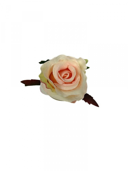 Róża główka 5 cm kremowa z jasną brzoskwinią