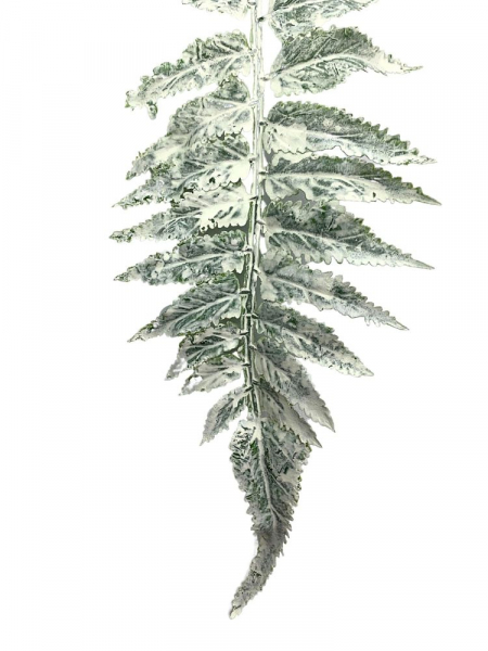 Liść paproci 56 cm zielono biały