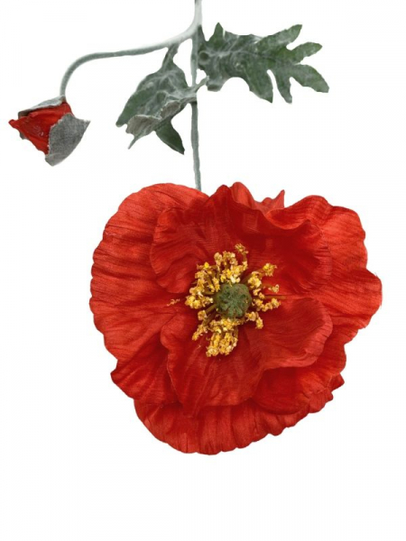 Mak kwiat pojedynczy 73 cm czerwony