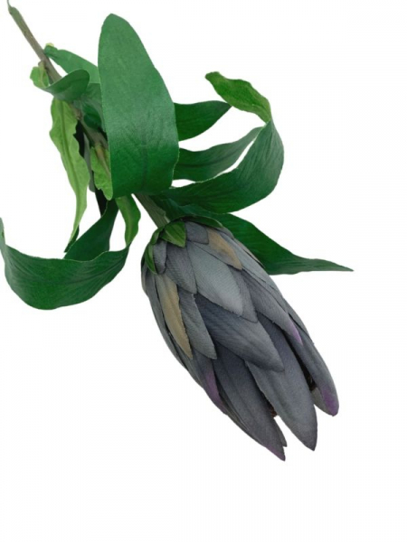 Protea gałązka 70 cm szara