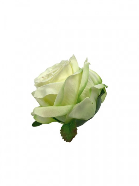 Róża główka 9 cm kremowo zielona