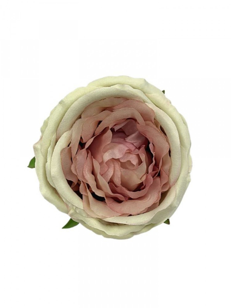 Róża główka 11 cm brudny róż z kremem
