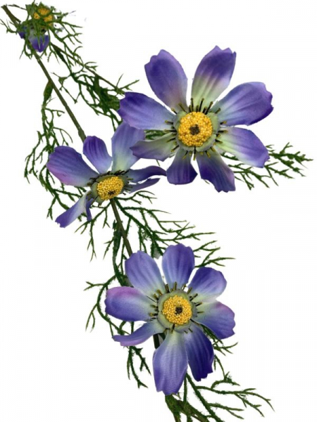 Kosmos kwiat na gałązce 130 cm niebieski