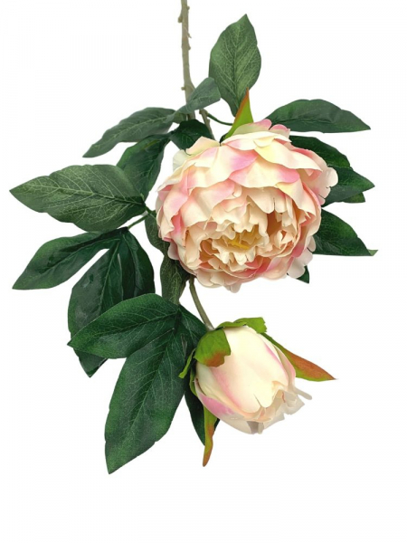 Piwonia gałązka 92 cm kremowa z różem