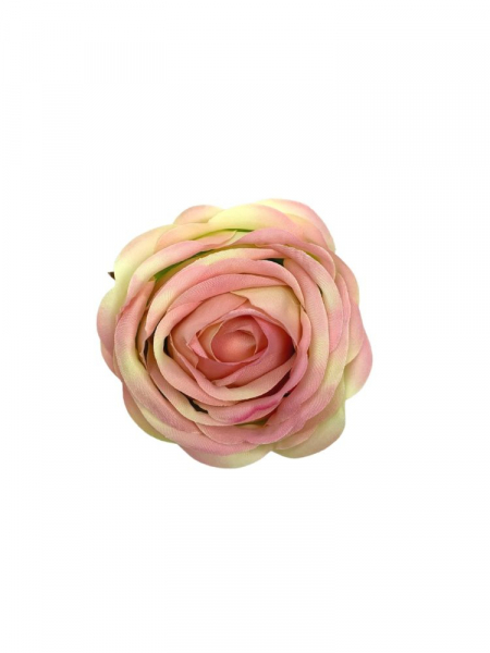 Róża główka 8 cm jasno różowa z zielenią