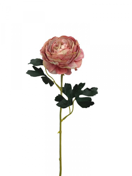Pełnik kwiat pojedynczy 54 cm różowy z zielenią