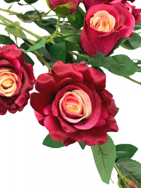 Róża gałąź wielokwiatowa 105 cm ciemny róż