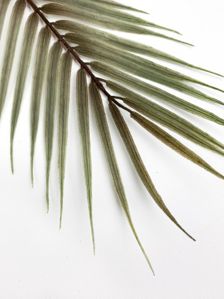 Liść palmy 61 cm szary