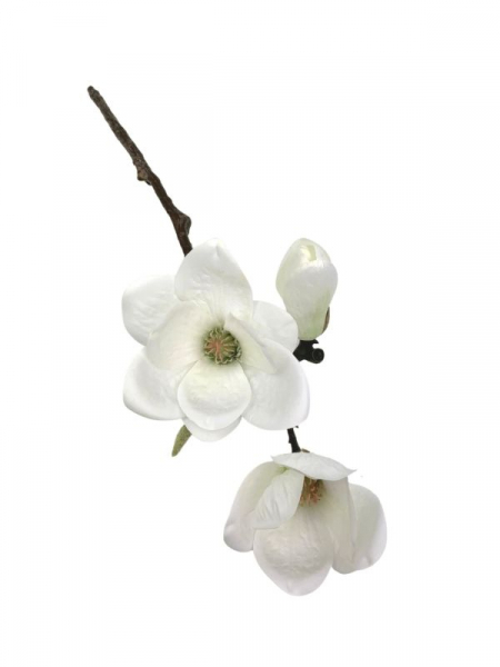 Magnolia gałązka 47 cm biała