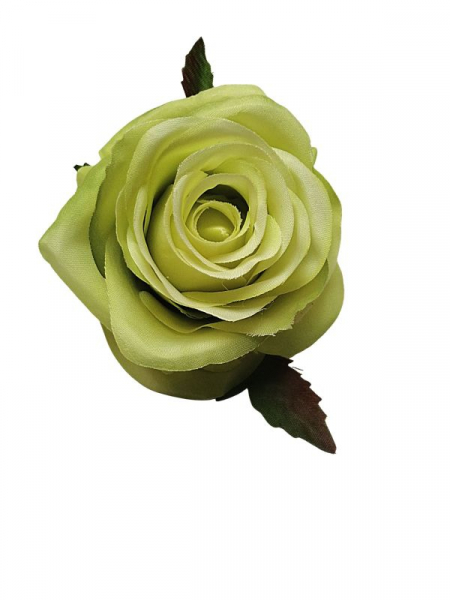 Róża główka 9 cm zielona