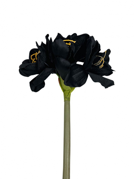 Amarylis 4 kwiaty na łodydze 72 cm czarny