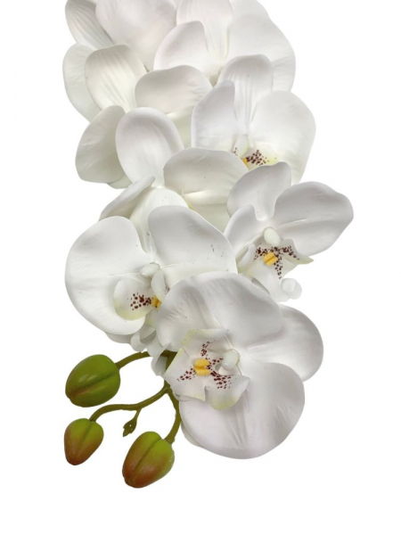Storczyk gumowany kwiat pojedyczny 100 cm biały