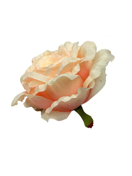 Róża duża główka 15 cm łososiowa