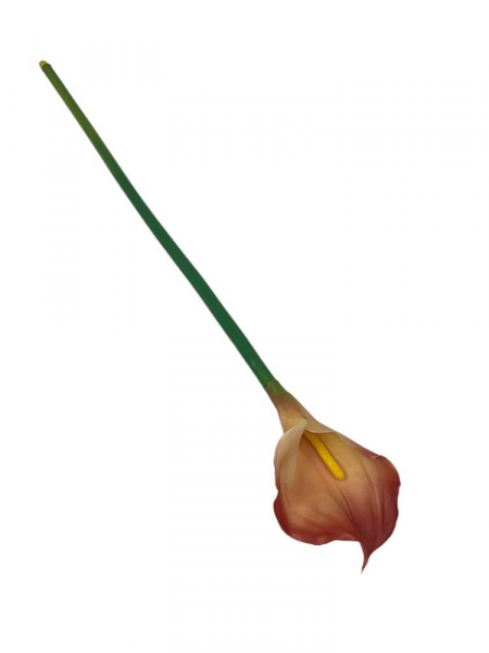 Kalia kwiat pojedynczy 71 cm łososiowa