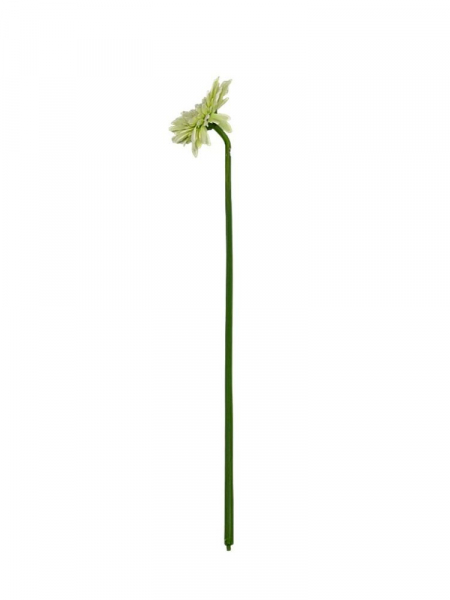 Gerbera gałązka 49 cm jasno zielona