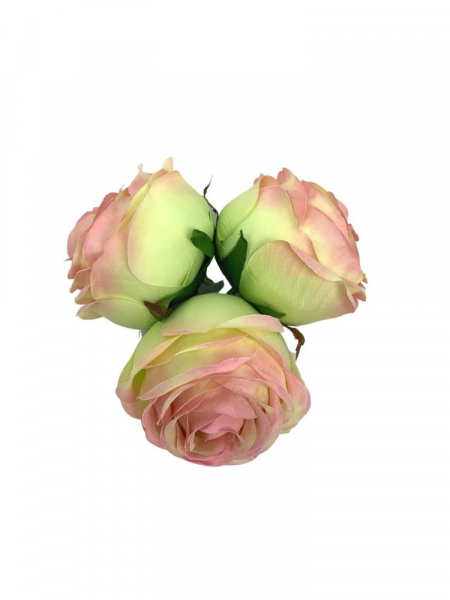 Róża główka 8 cm jasno różowa z zielenią